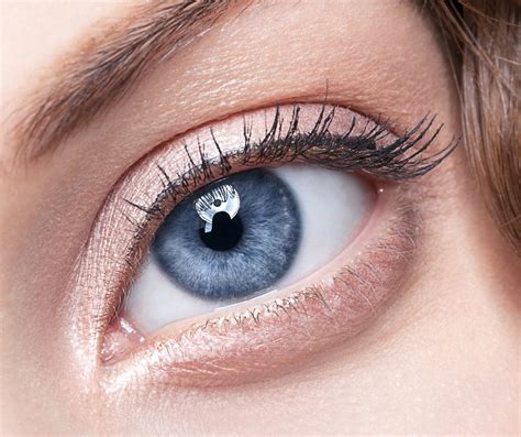 navy blue eye color.